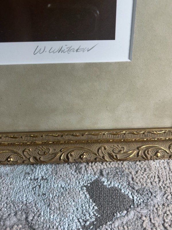 Limited Edition Print “The Back” Signed Framed By William Whitaker gallery