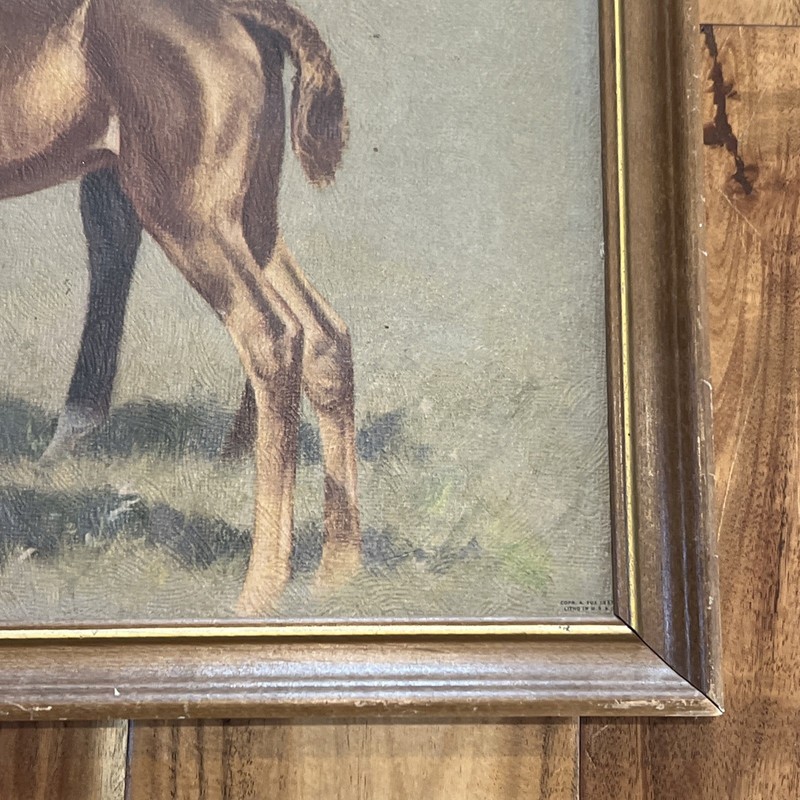 Antique Framed Art Horse Mare & Foal CW Anderson gallery
