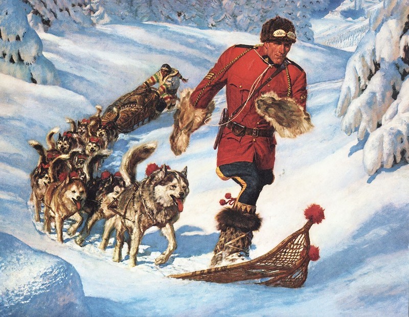 Canadian Mountie leading Dogs with Snow Shoes