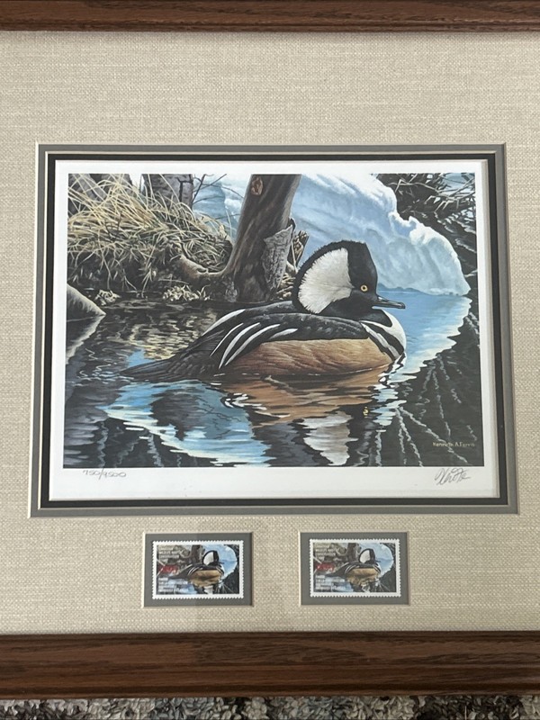 Framed 18 x 15.5 1993 Canada Hooded Merganser Signed Print & Stamp Ken Ferris gallery