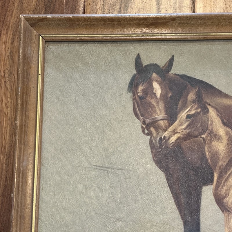 Antique Framed Art Horse Mare & Foal CW Anderson gallery