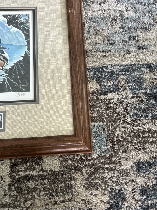 Framed 18 x 15.5 1993 Canada Hooded Merganser Signed Print & Stamp Ken Ferris gallery