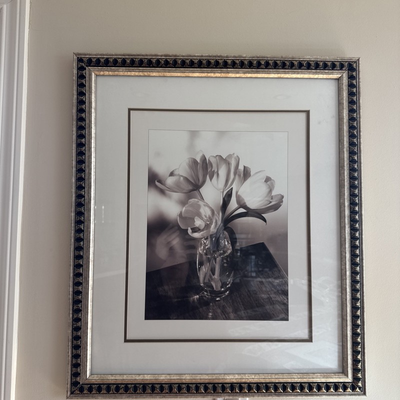 Framed Print Art 21 By 25 ‘