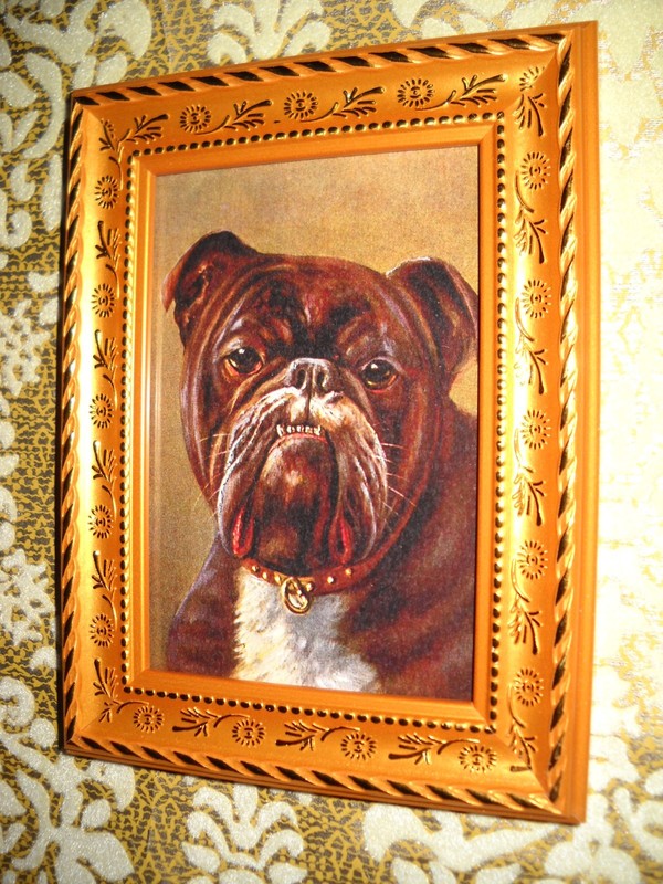 HANDSOME BULL DOG 3 1/2 X 5 gold framed art print Victorian style animal picture