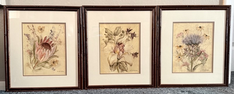 Set Of 3 Cheri Blum Floral Wood Framed Prints By Blum Global Florals 17 X 14.5”