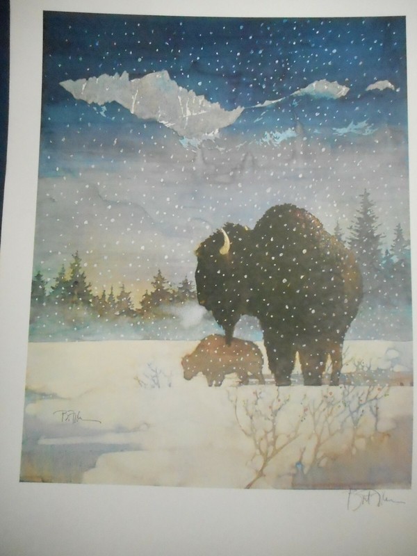 HAND SIGNED Bart Forbes art print » Spring Arrival » Bison Buffalo winter