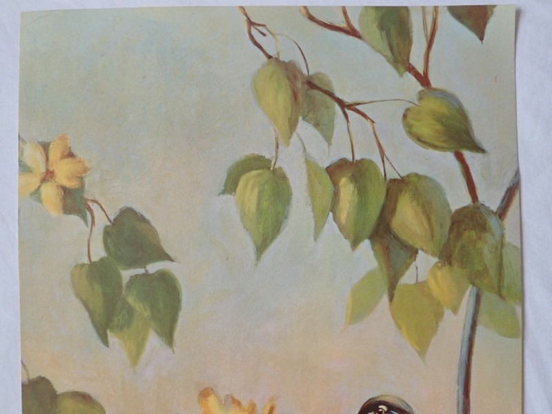 VINTAGE RF HARNETT ROBIN BIRDS LITHOGRAPH WALL ART PRINT KAPLAN CO 36" x 12" gallery