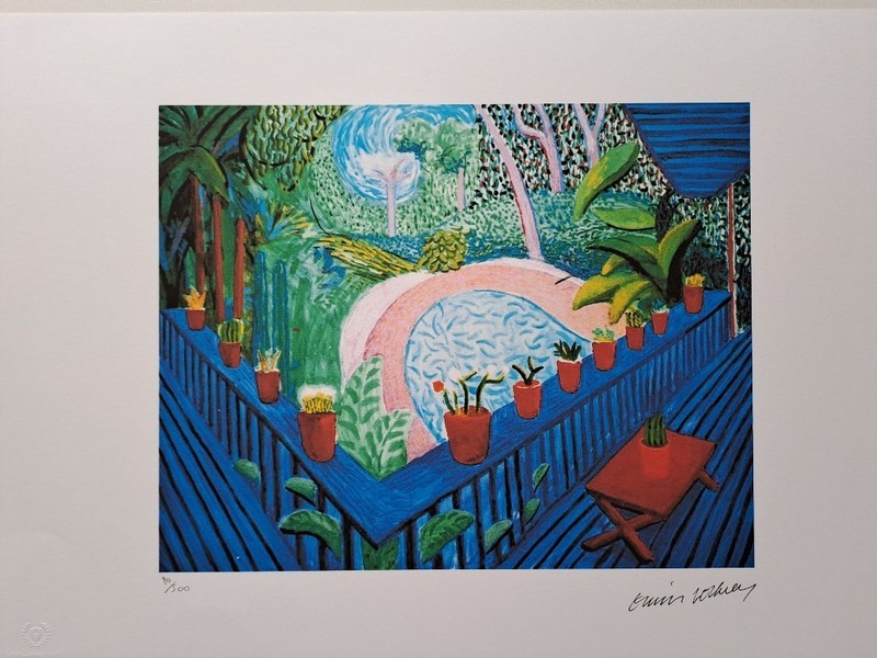 David Hockney Signed - Red Pots in the Garden - Certificate gallery