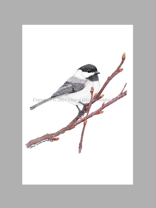 Black Capped Chickadee Ink Pointillism Print by Cheryl Garman-Andrade.