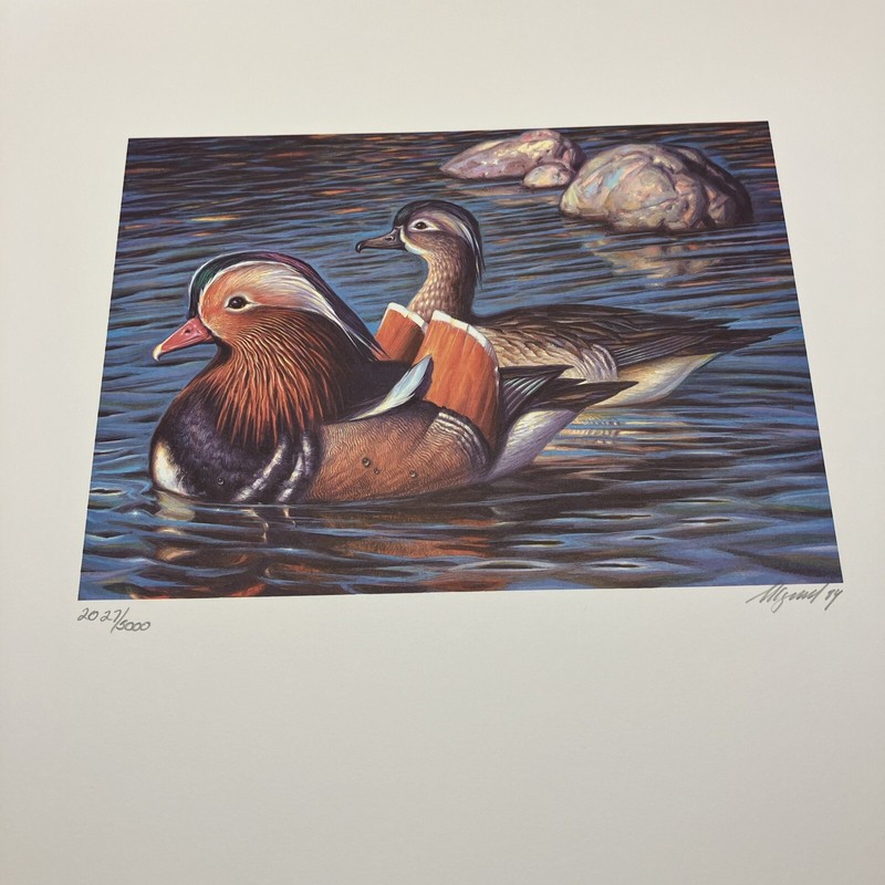 Ivan Kozlov Signed ‘Mandarin Ducks’ Print & Stamp 2027/5000 Unframed June 1989