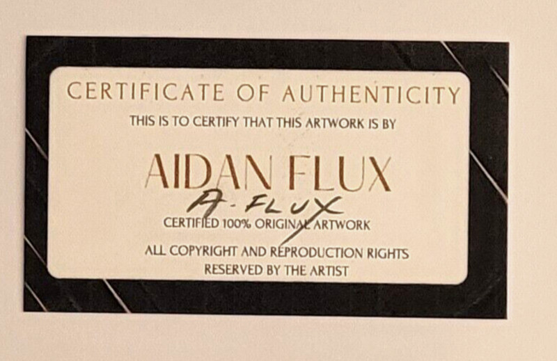 AIDAN FLUX | Hand Signed Authentic Print Framed DREAM BIG BELIVE IN YOURSELF COA gallery
