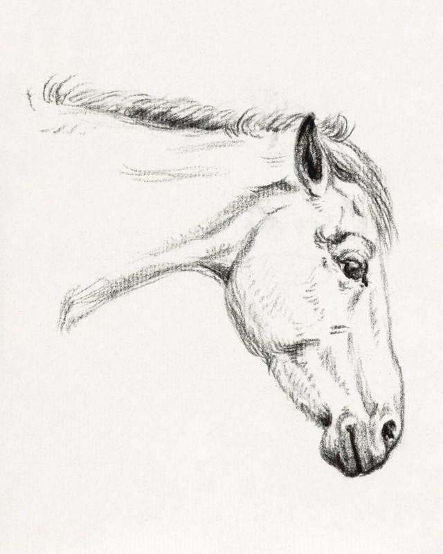 Head of a Horse II 1819 by Jean Bernard Giclee Print of Vintage Western Drawing