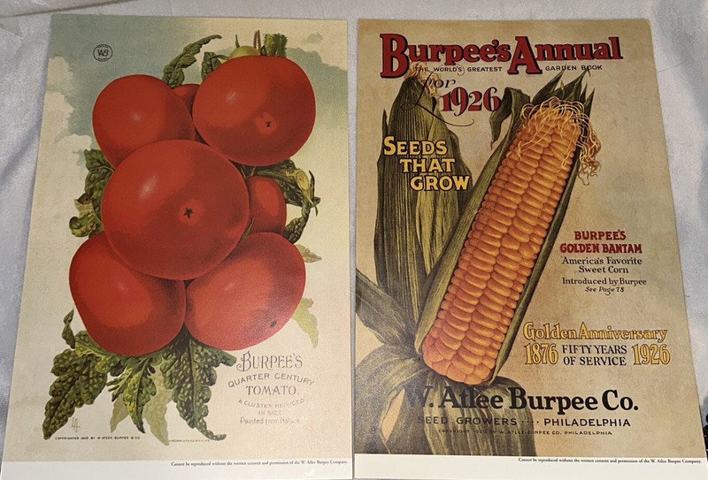 Burpee’s Prints Tomato & Golden Anniversary Corn Reproductions 1900 1925