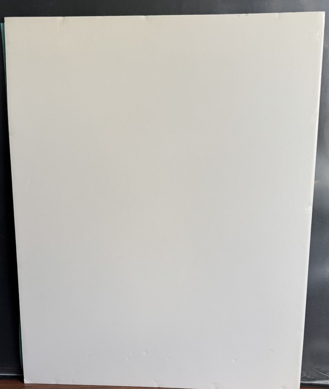 Octavio Ocampo MARLENA Optical Illusion Art PRINT ON FOAMBOARD 19x24” FOAMCORE gallery