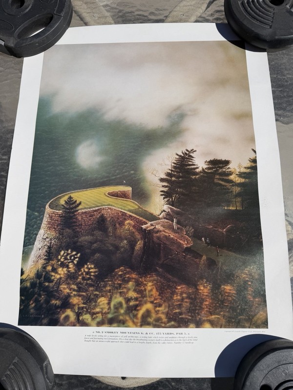 Vintage Picture Print No 1 Victoria Falls GC Golf Golfer 1975 3,5,7,4,9,2 24x18