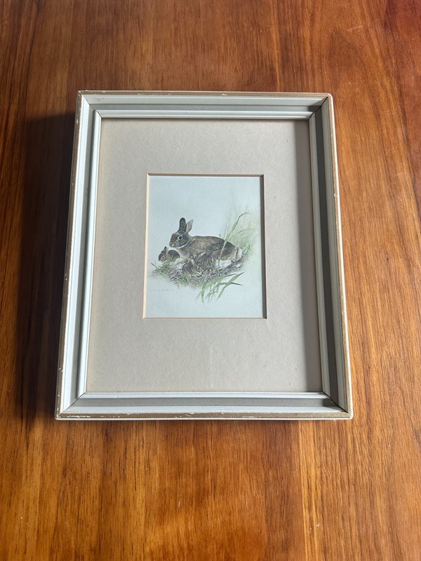 Vintage Martin G. Loates Framed Lithograph Mother Rabbit and Bunnies 9″ x 11″