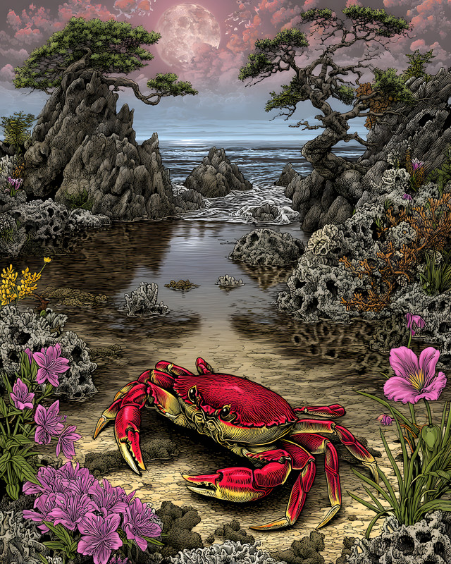 8×10 Red Crab in Rocky Coastal Garden Art Print – 106146531
