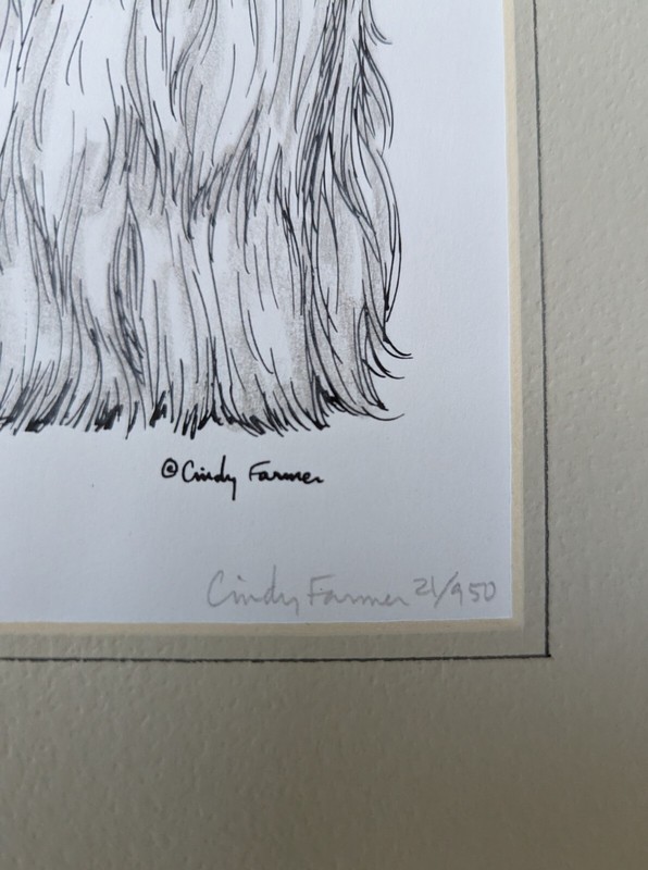 Cindy Farmer Maltese Series Numbered Pen &Ink Signed Print 8"x6" matted 12"x 9" gallery