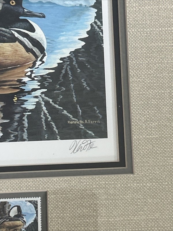 Framed 18 x 15.5 1993 Canada Hooded Merganser Signed Print & Stamp Ken Ferris gallery